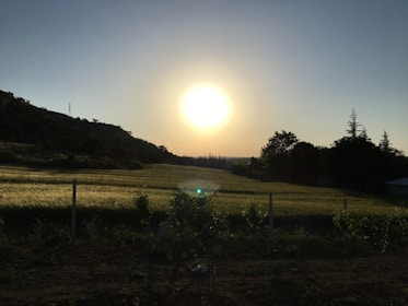 A calm sunset over a quiet field, symbolizing a pause before growth.