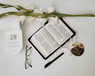 white book on white table