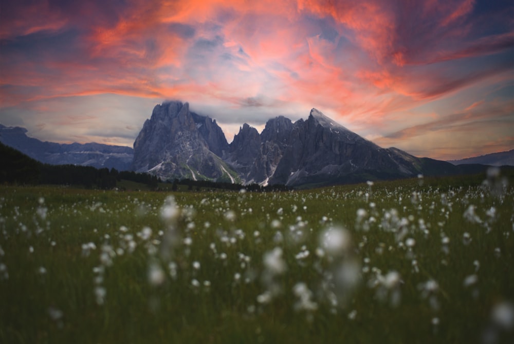 snow covered mountain during sunset