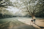 A happy cyclist riding a vintage-style bike along a sunny park path