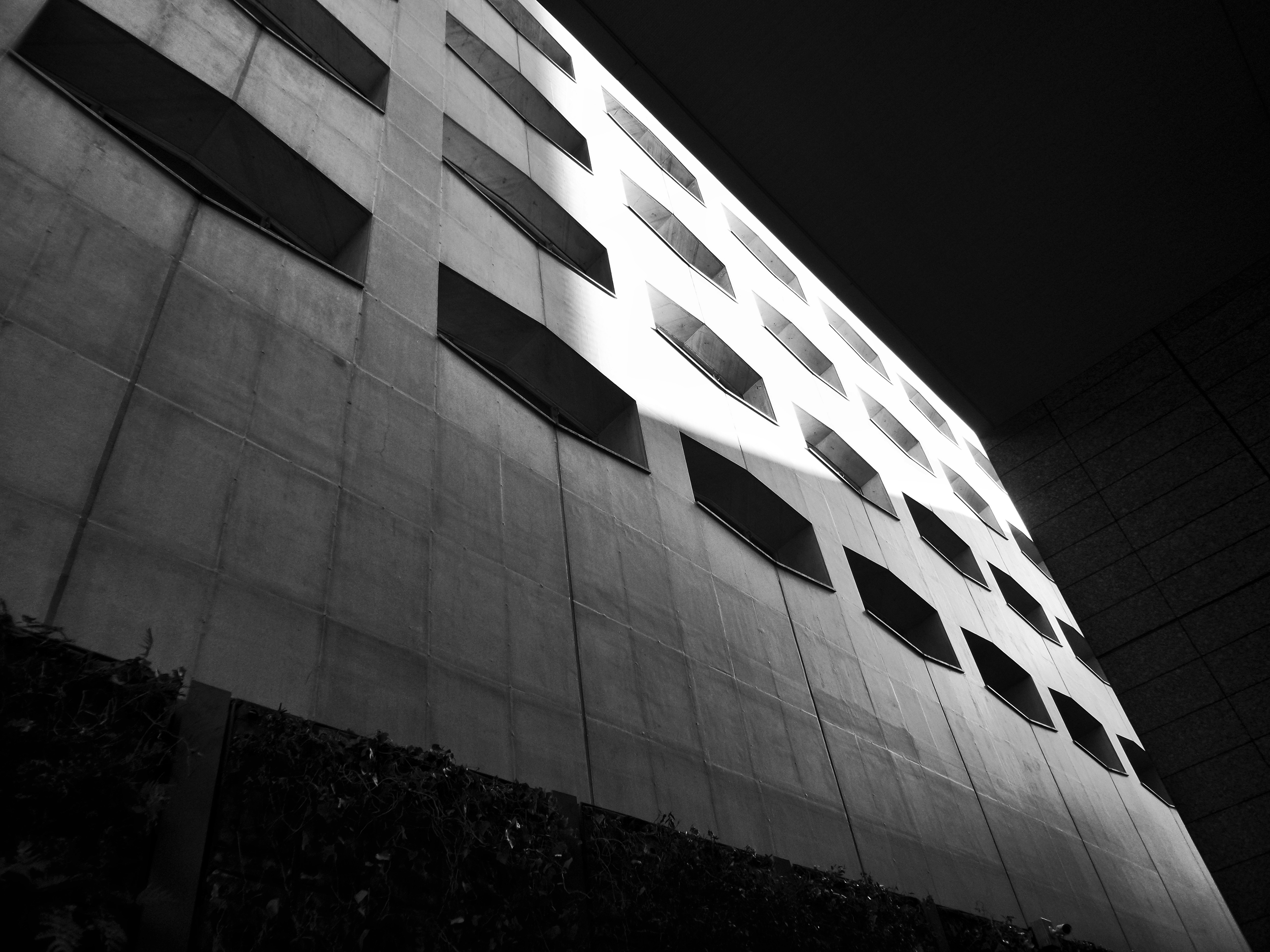 Photo by possessedphotography