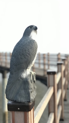 A detailed watercolor of a coastal bird perched on driftwood by the shore.