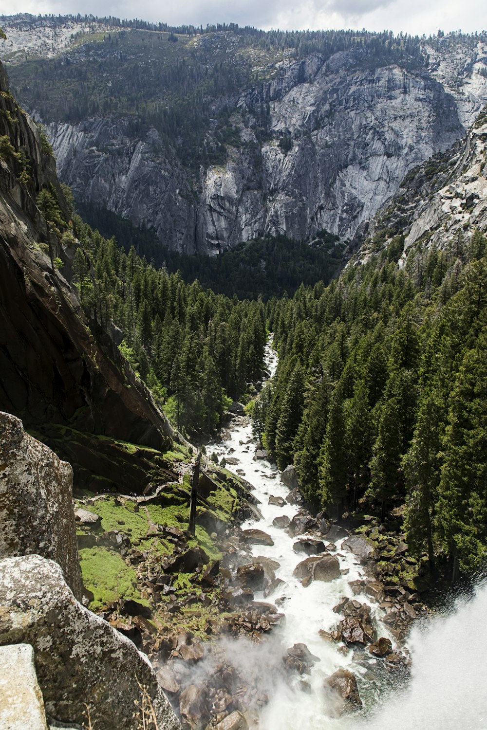 green pine trees near river during daytime