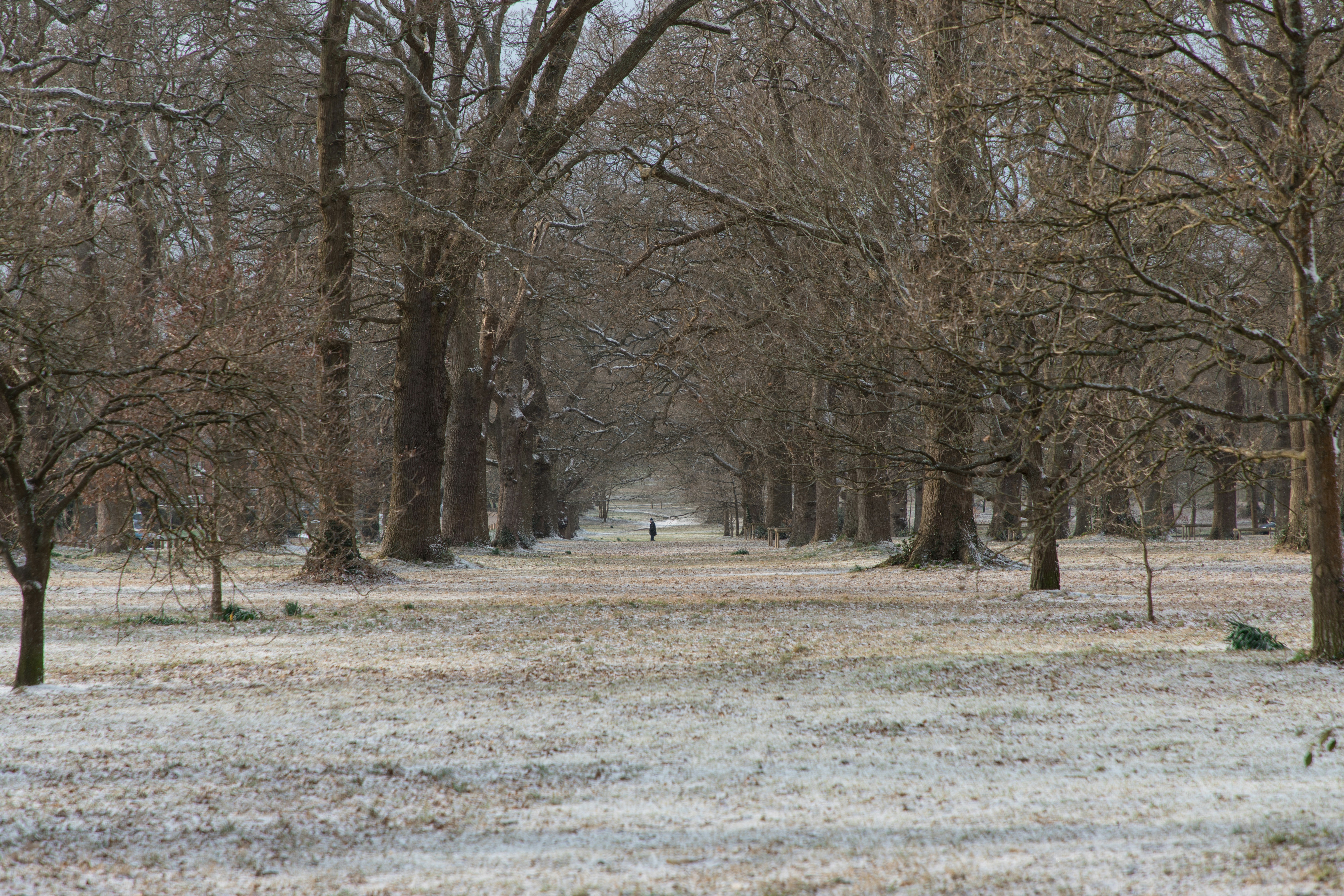 Light snowfall in the village of Hartley Wintney.