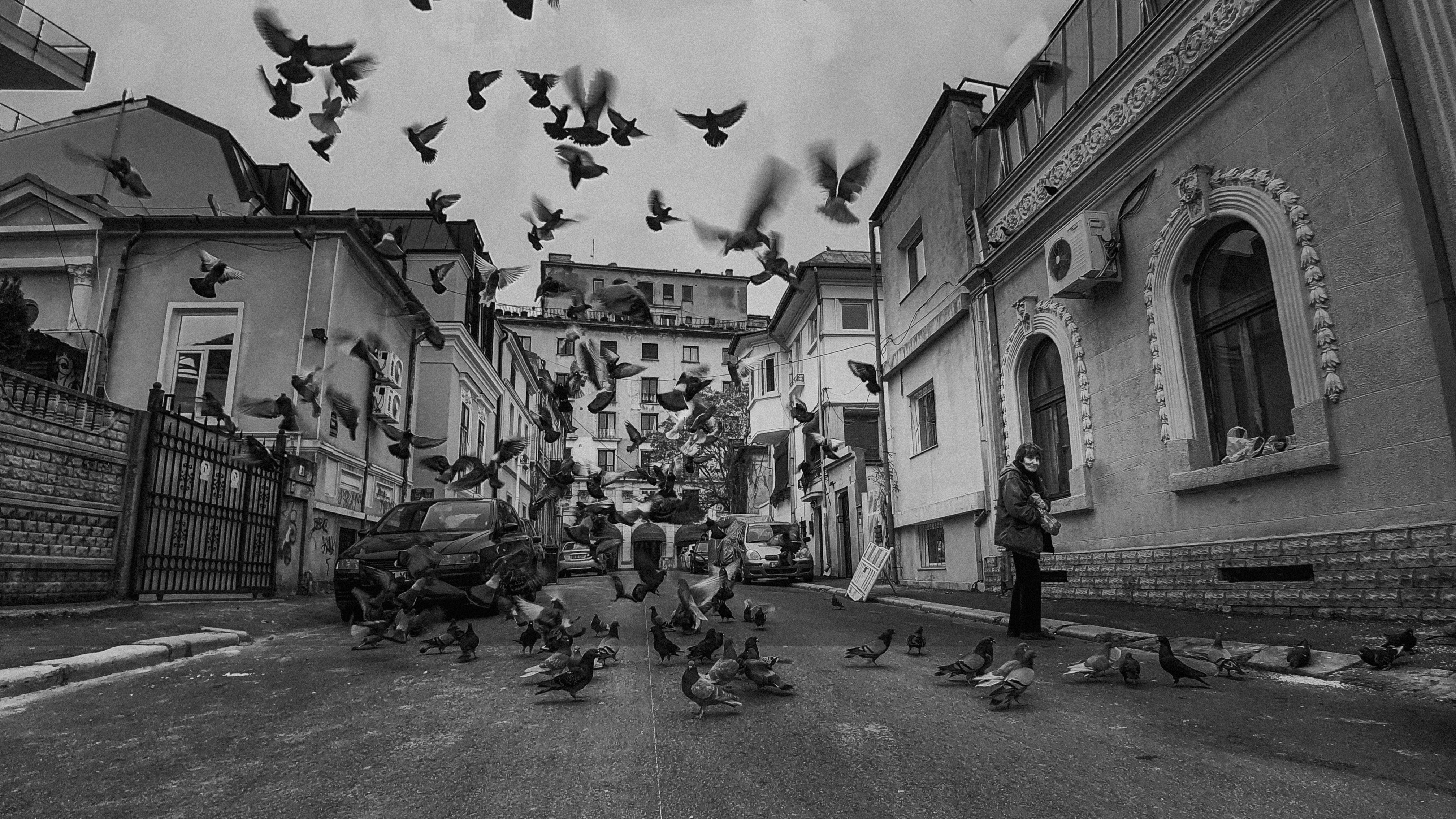 Photo by jaquestories
