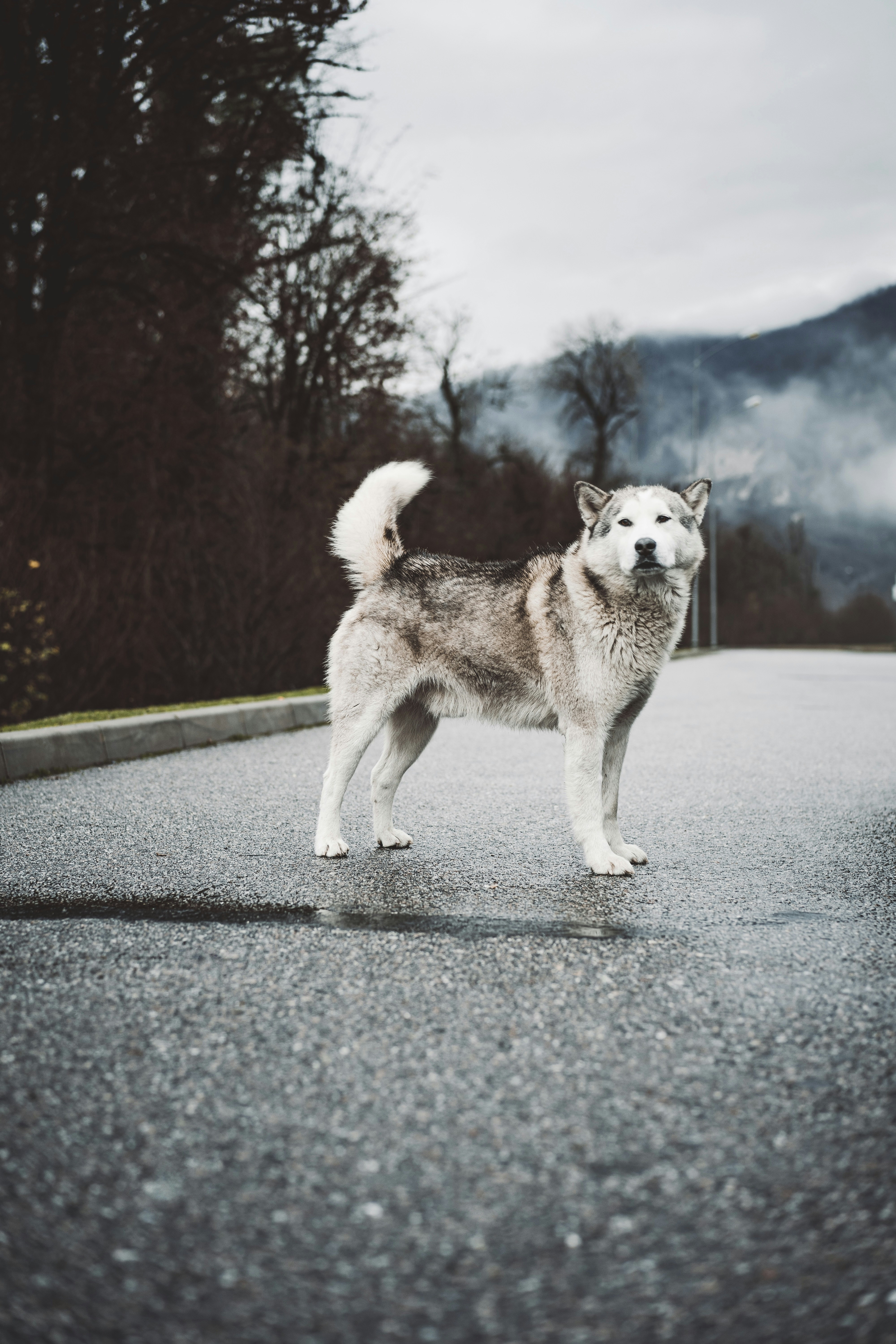 Photo by deklerph