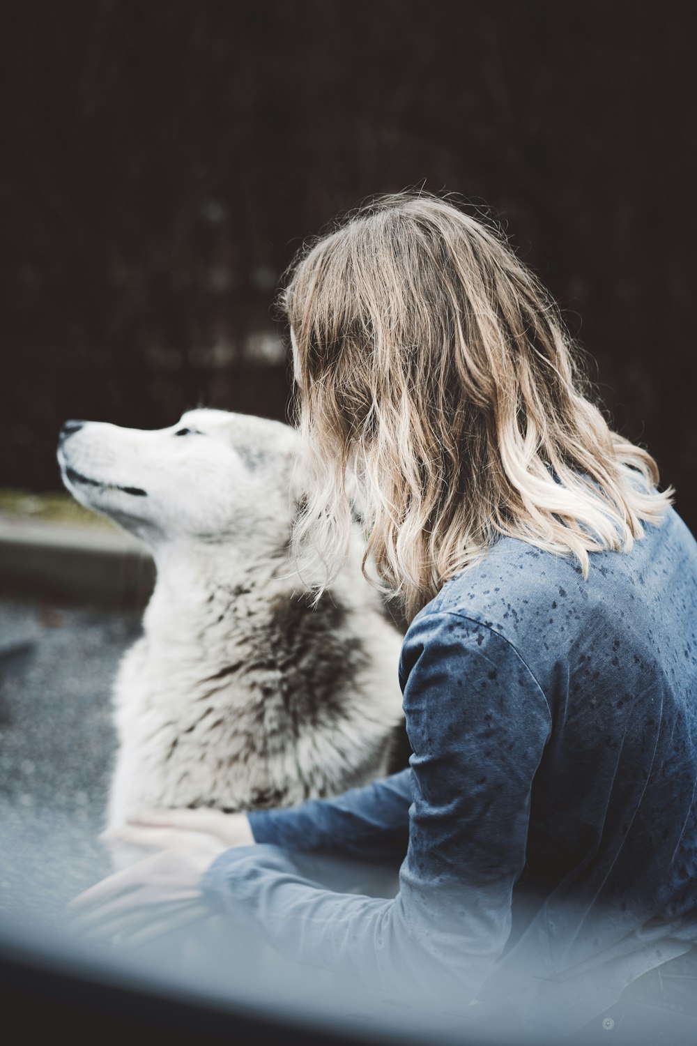 woman in blue long sleeve shirt holding white and black siberian husky