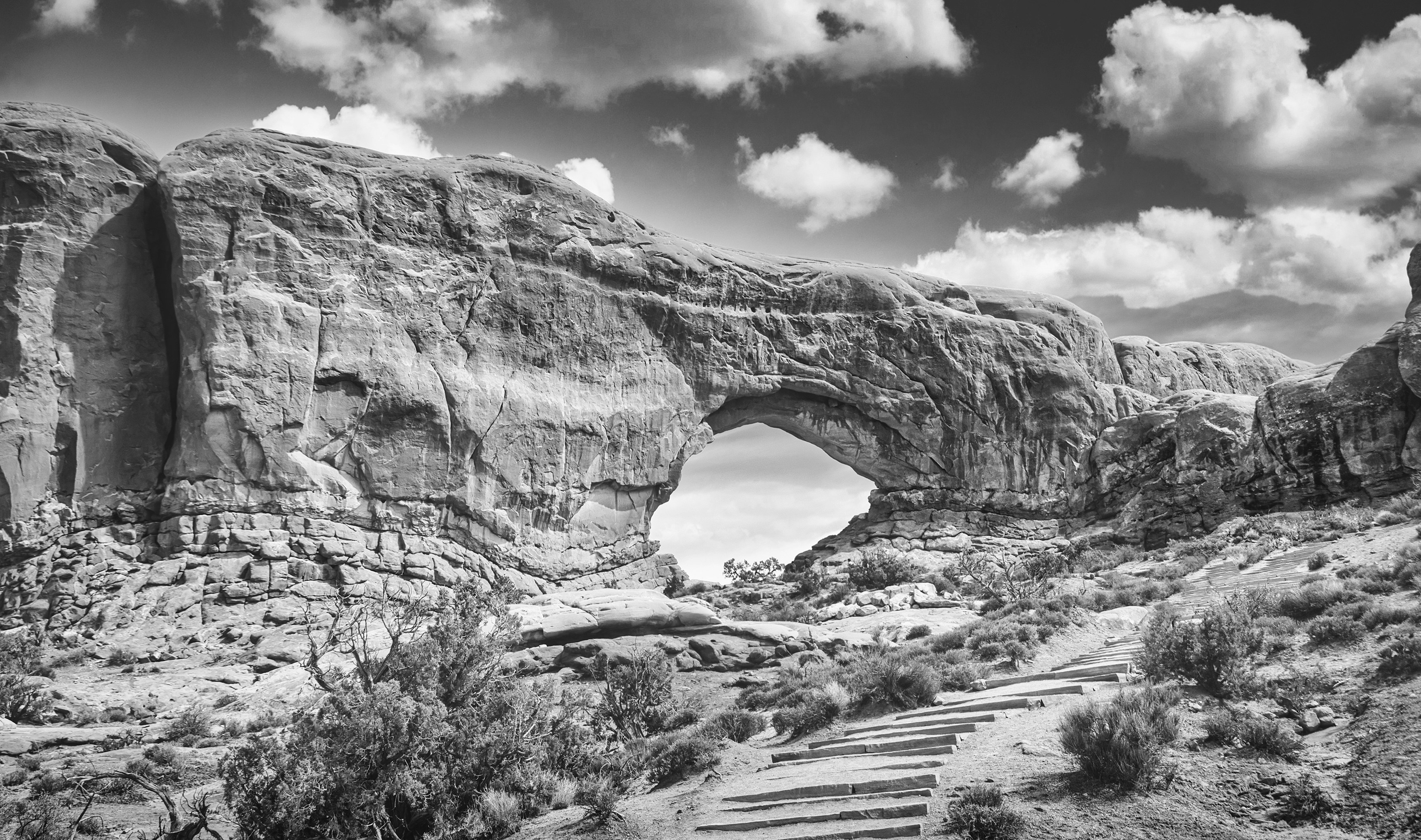 Photo by devonshiremedia