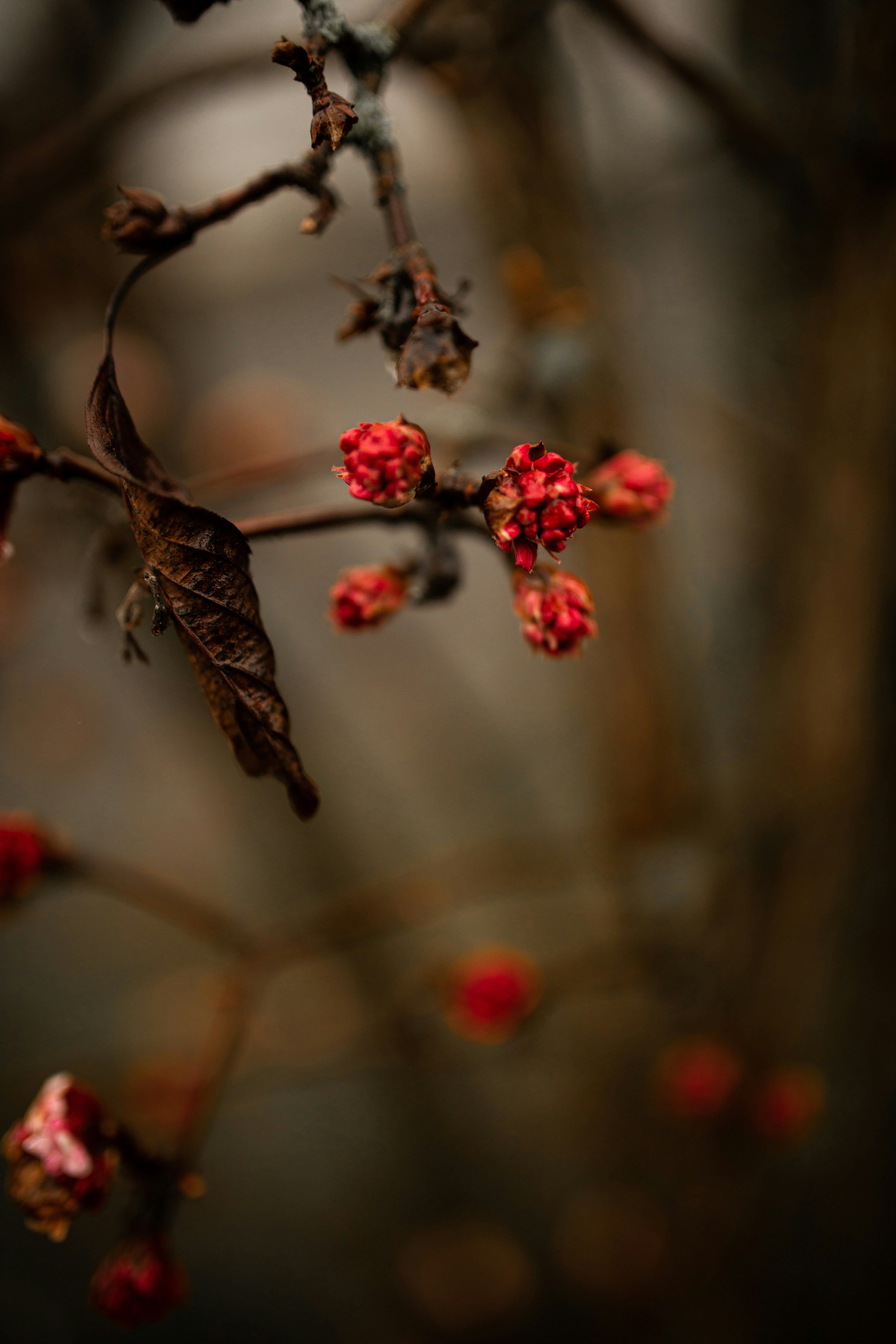 Photo by kajareichardtphotos