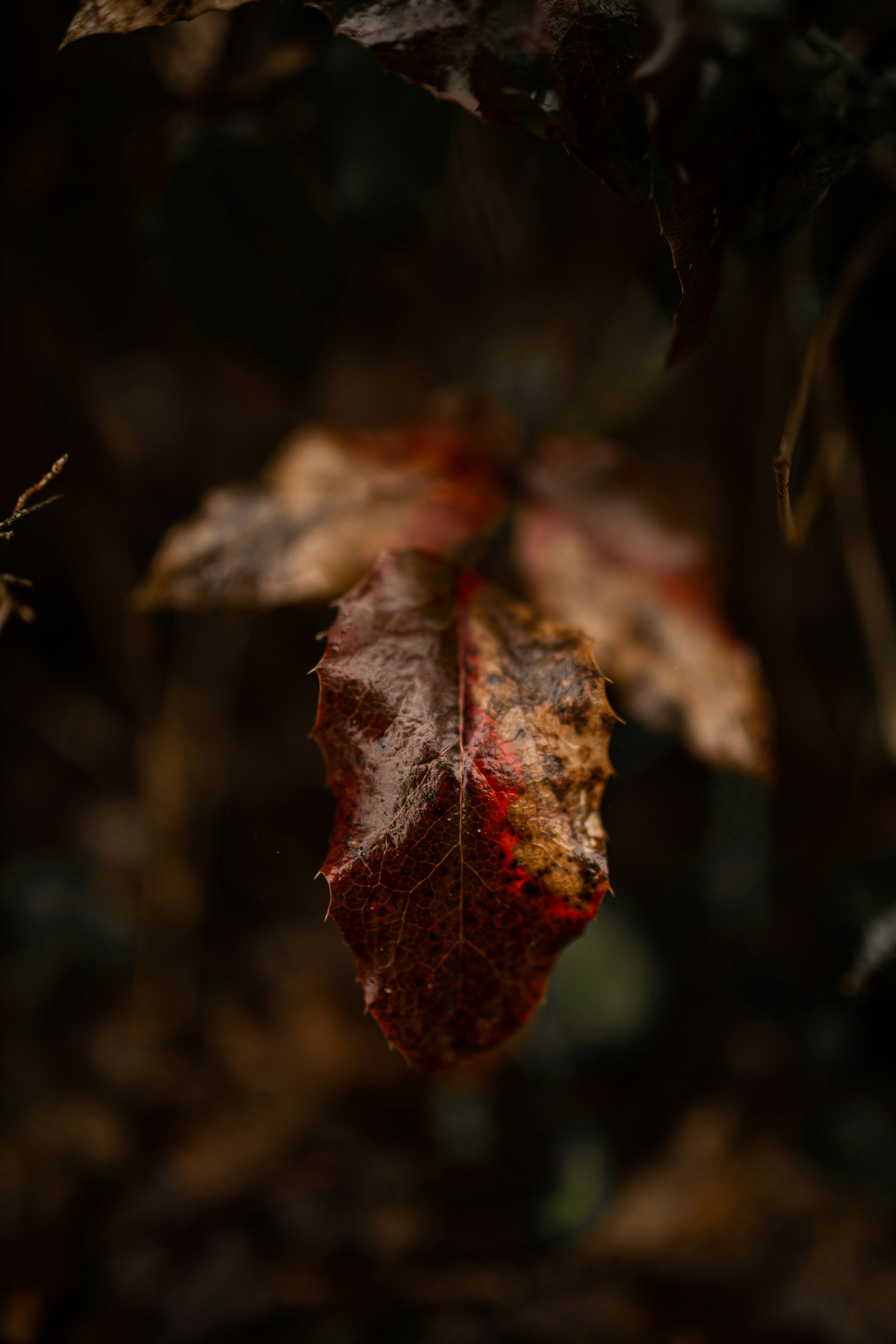 Photo by kajareichardtphotos