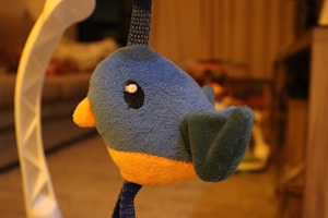 Squeaky Parrot Plush