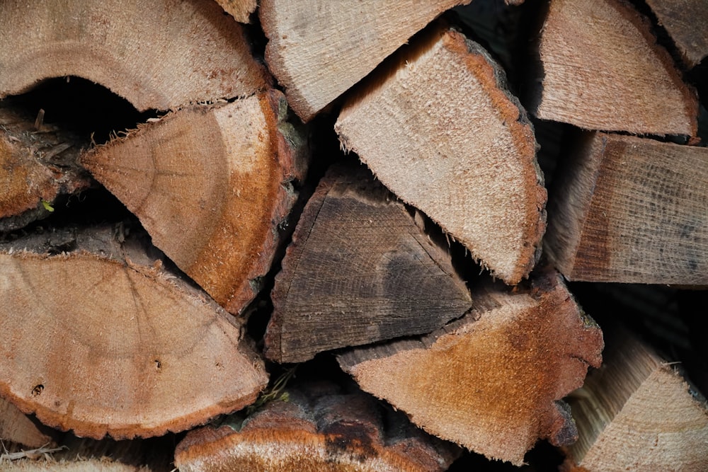 brown and black wood log