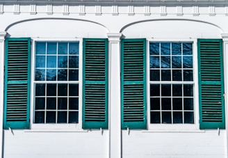 Two large windows with multiple panes, each flanked by green shutters on a white building. The windows reflect the blue sky and tree branches, suggesting an outdoor scene.