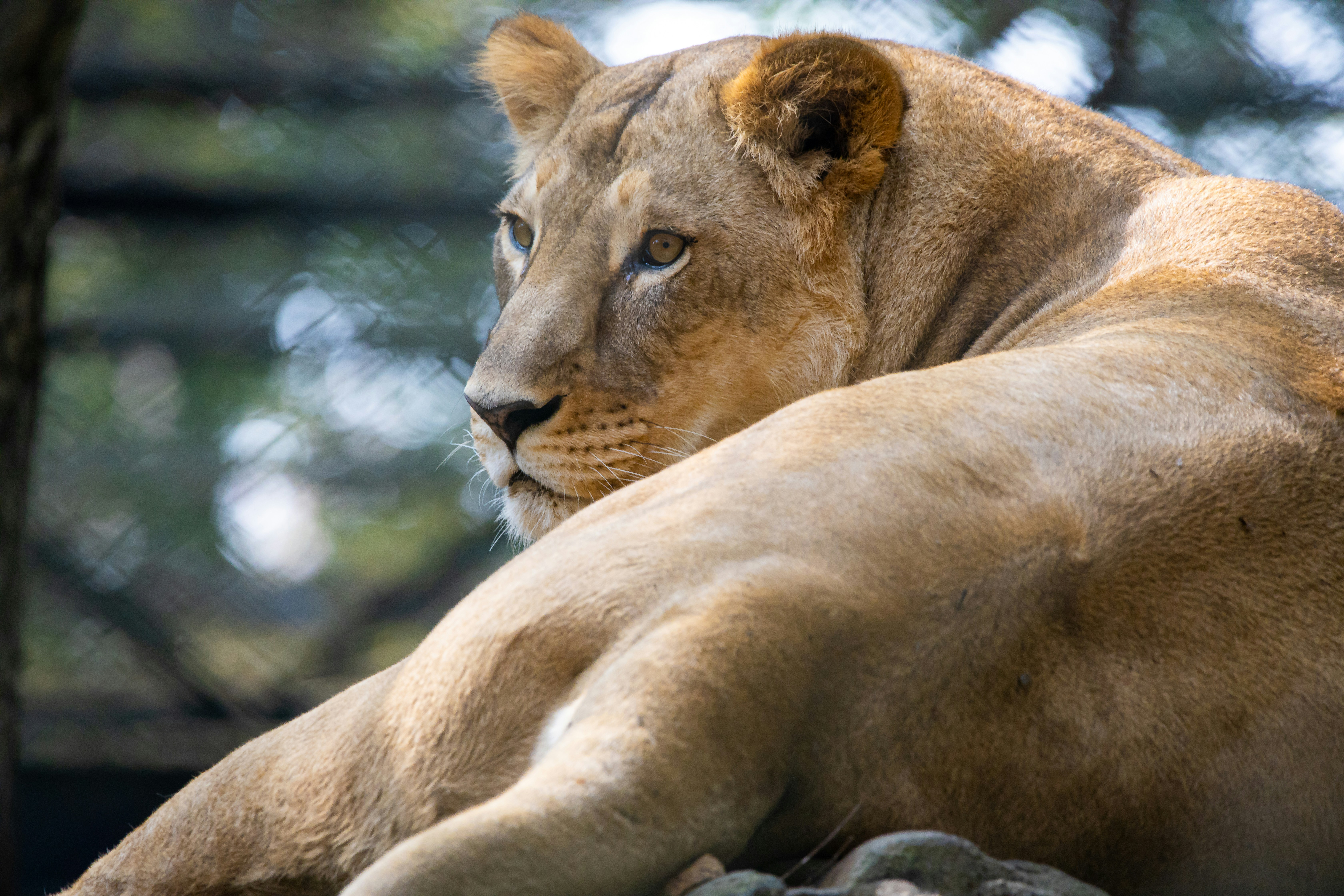 The Psychological Game (image credits: unsplash)