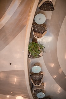 The image presents a top-down view of a modern interior space with round tables and chairs arranged in a semi-circle. The seating features patterned upholstery and is placed on a sleek, curving floor made of polished stone or concrete. A potted plant with green leaves is situated in the center, adding a natural element to the otherwise minimalist and contemporary scene.