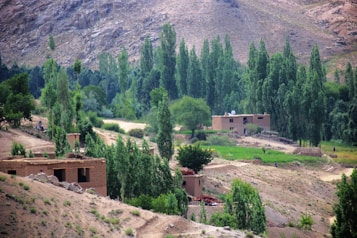 A rural landscape featuring adobe-style houses nestled among abundant greenery and trees. The scene includes a backdrop of rocky hills or mountains. The area appears serene and remote, with patches of cultivated land and sparse human activity.