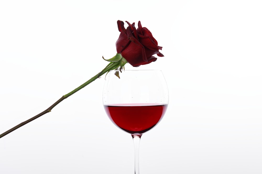 red rose in clear wine glass