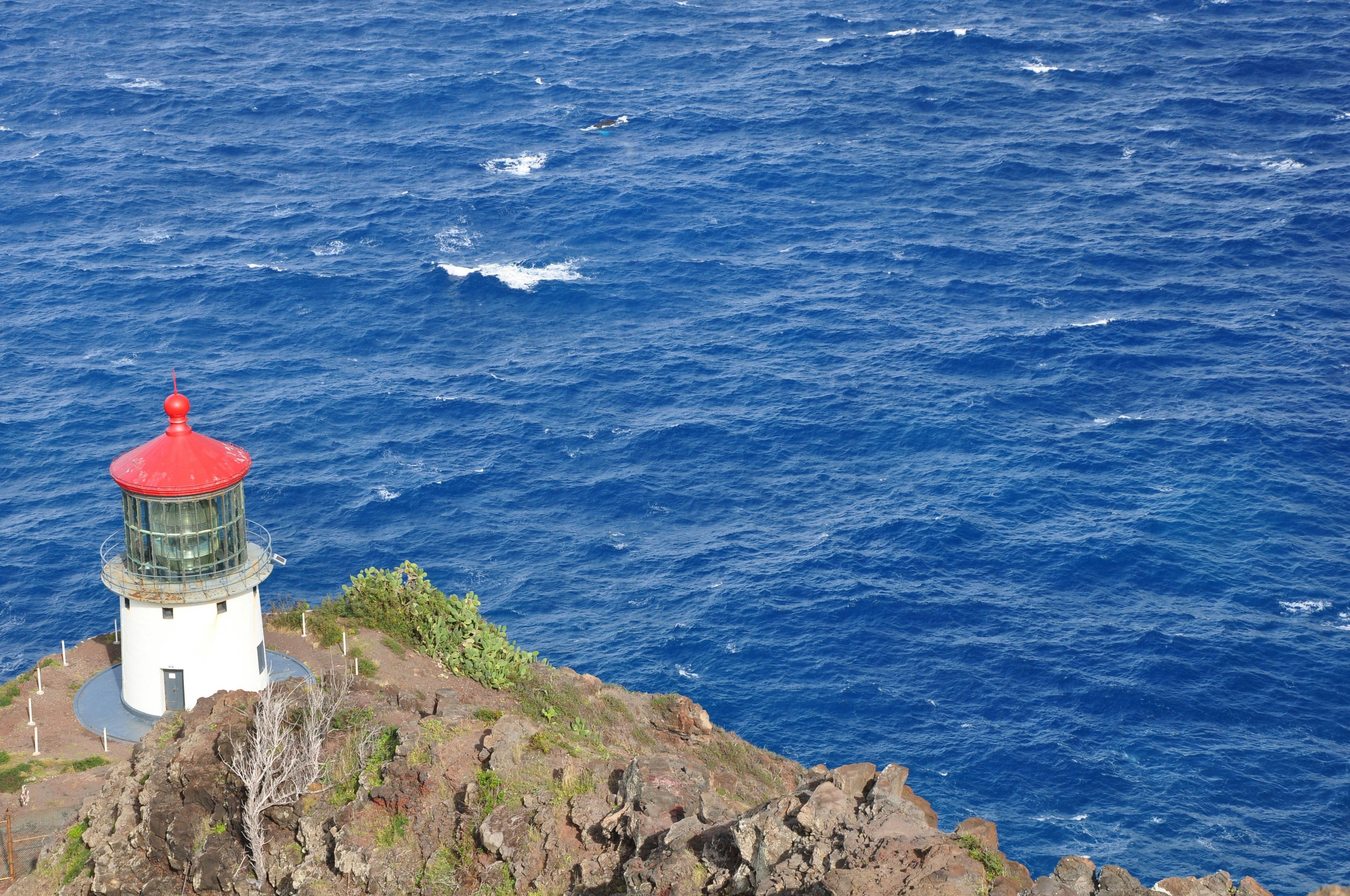white and red lighthouse on cliff near body of water during daytime