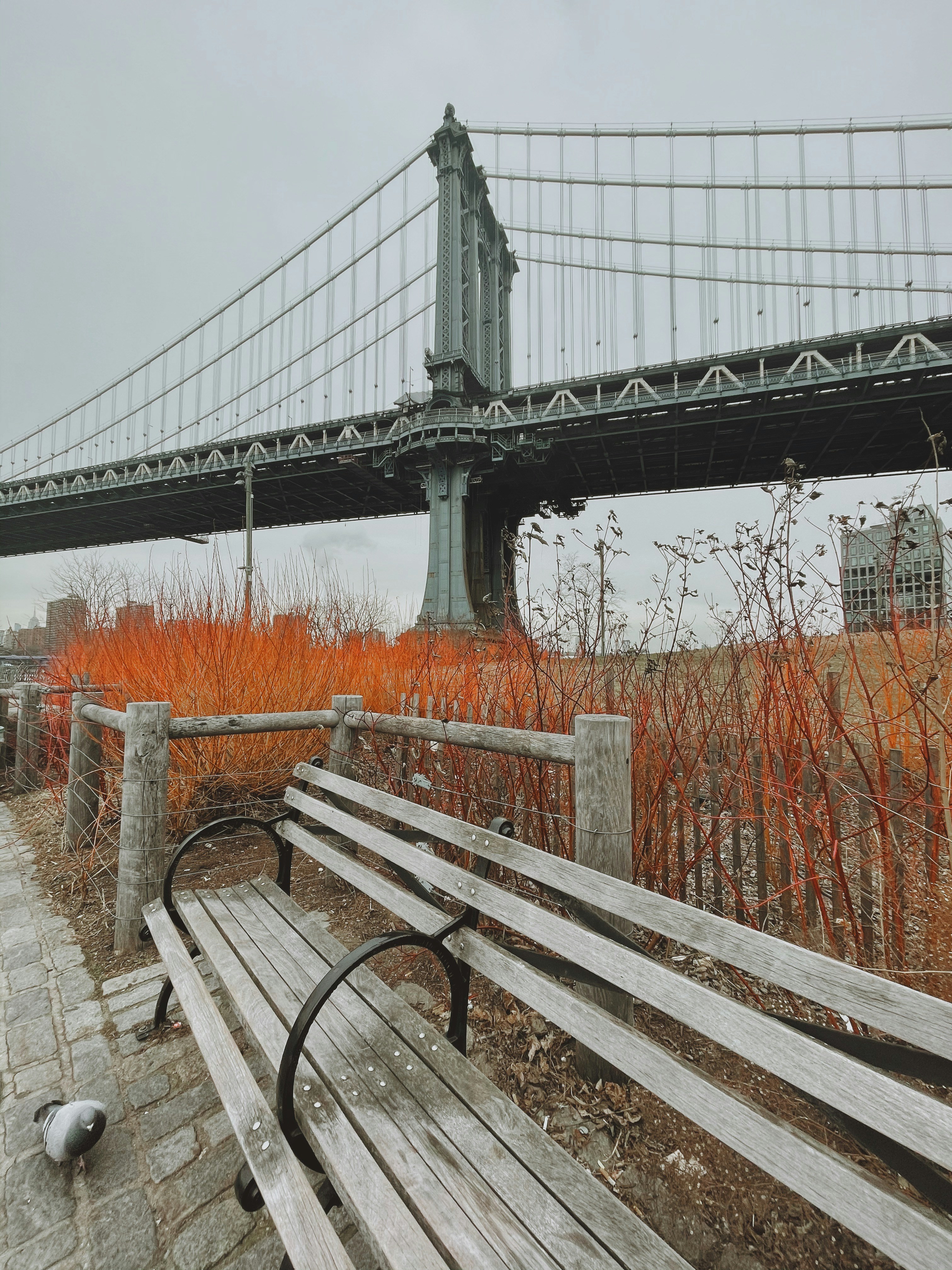 brown wooden bench on snow covered ground