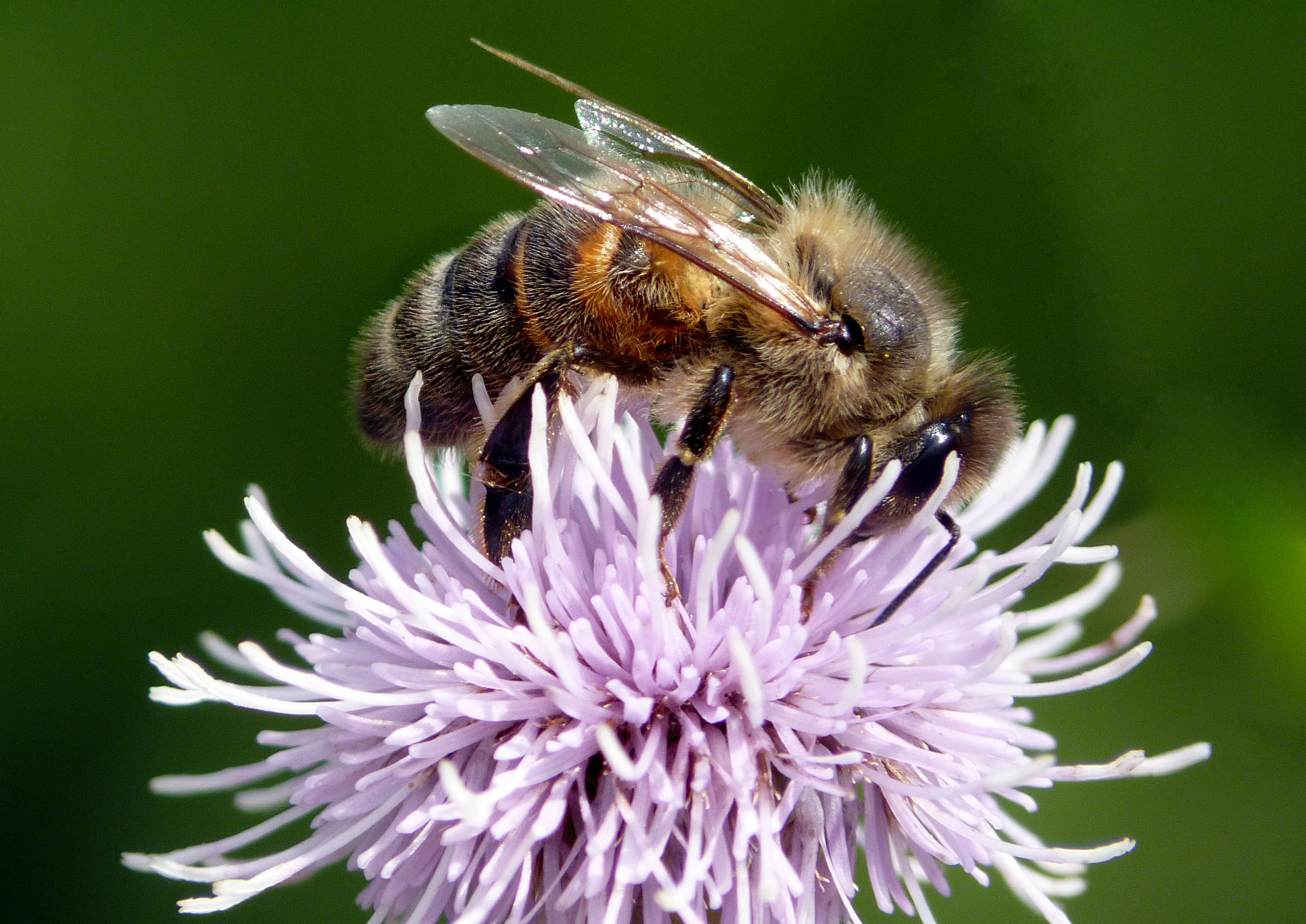 Photo by les_attridge