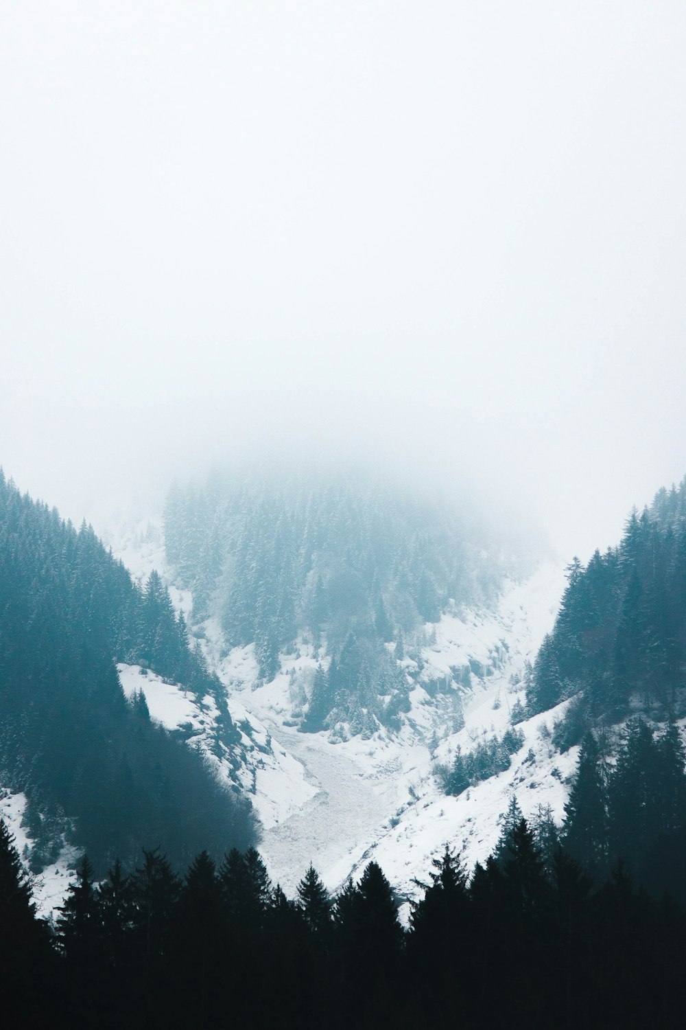 snow covered mountains during daytime