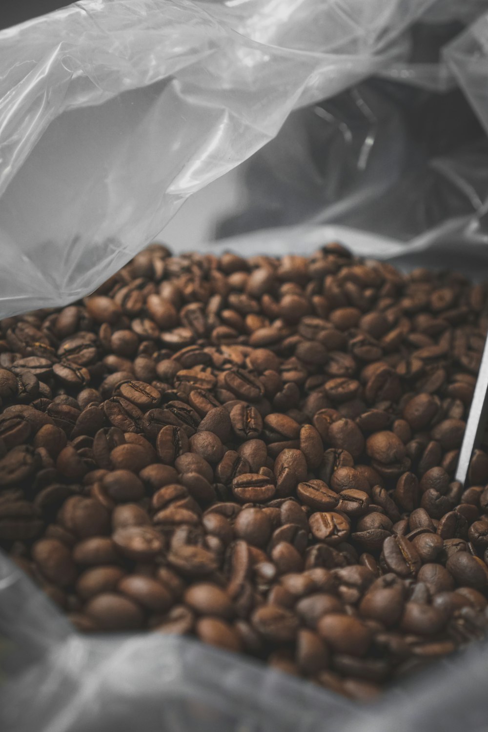 granos de café marrón en una bolsa de plástico blanca