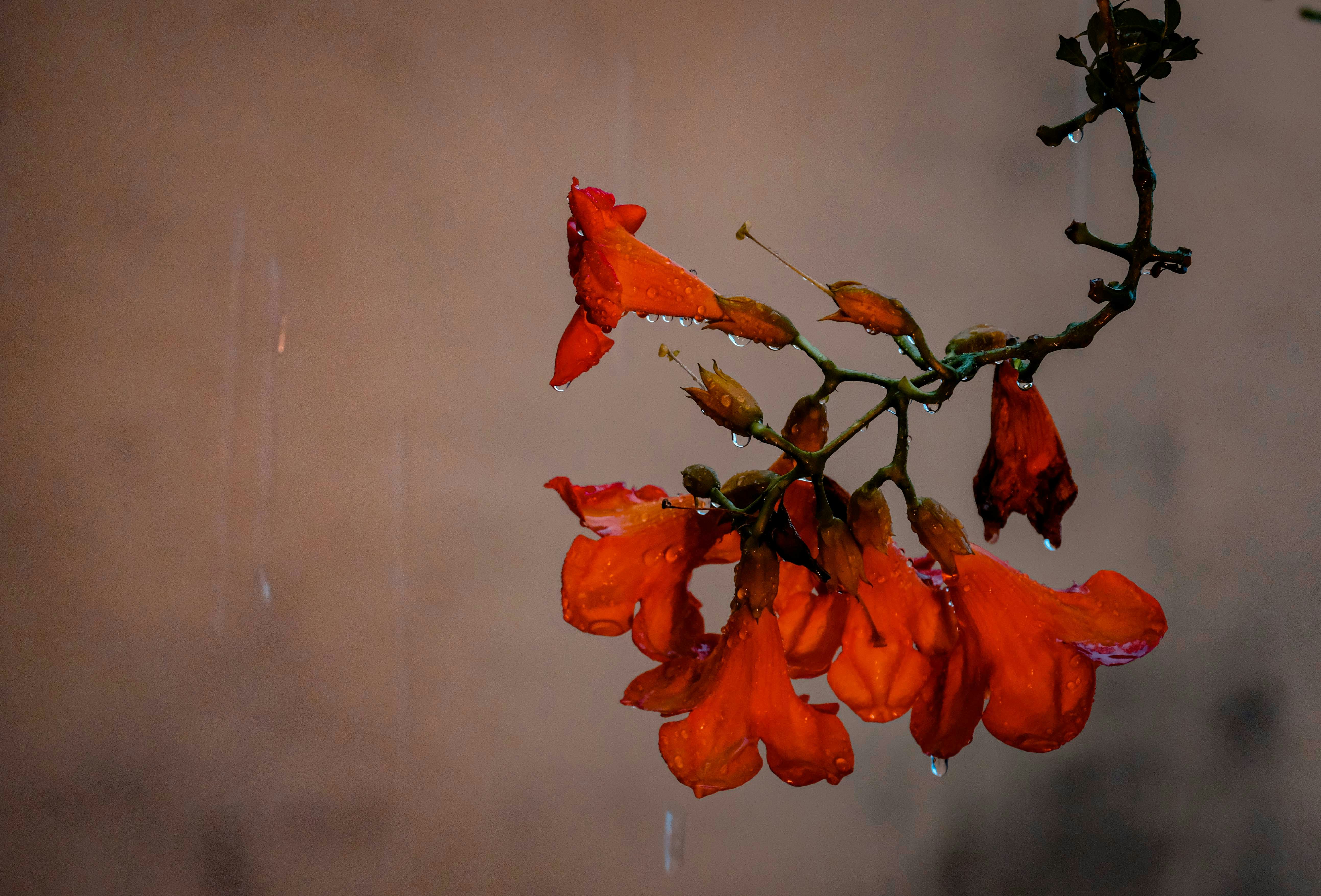 Photo by francesco_ungaro