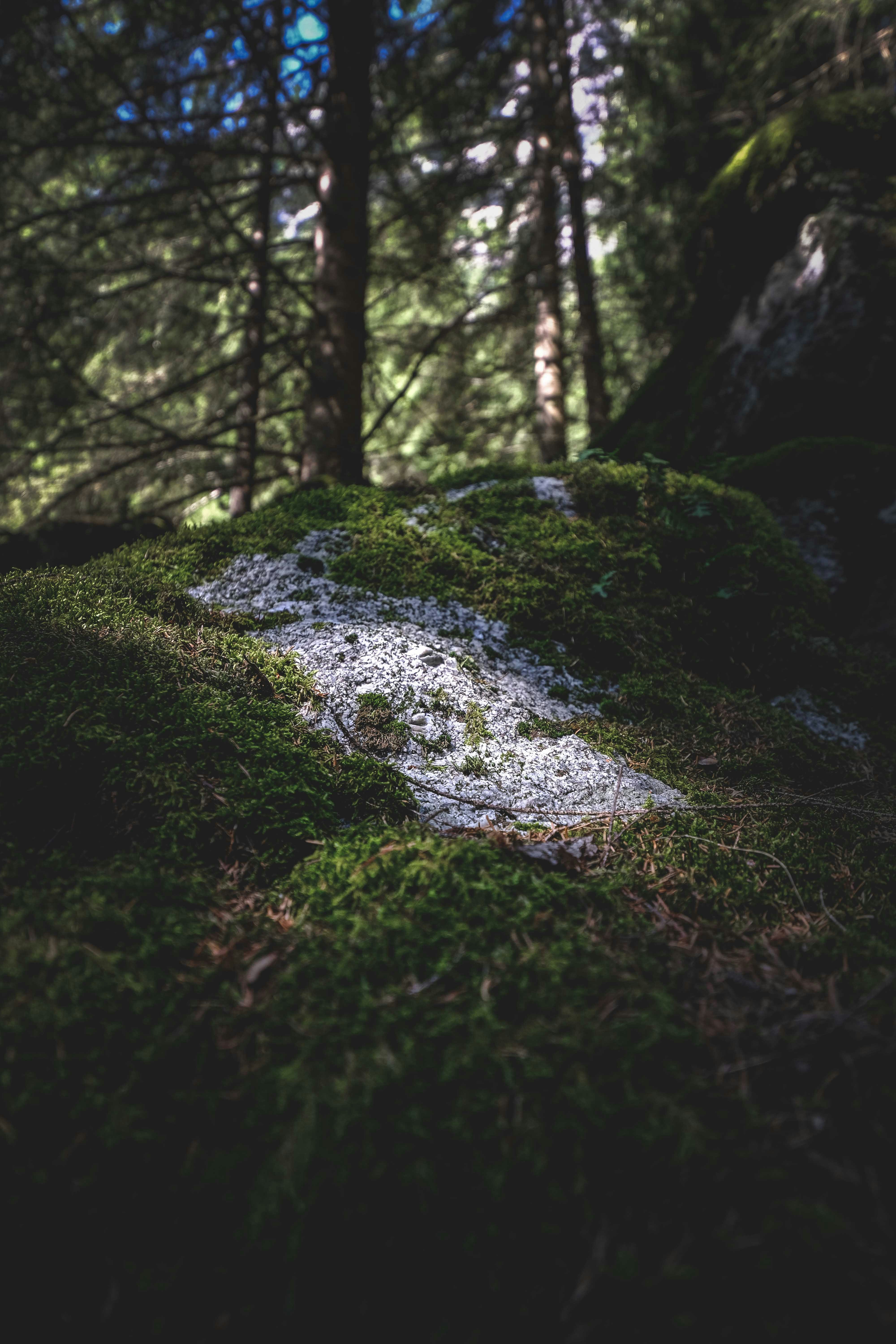 Photo by francesco_ungaro