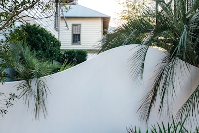 A white, curved wall is positioned in front of a lush garden with several palm trees and dense greenery. Behind the wall, a house with a light exterior and a single window is partially visible. The architectural elements and lush plants suggest a serene, suburban setting.