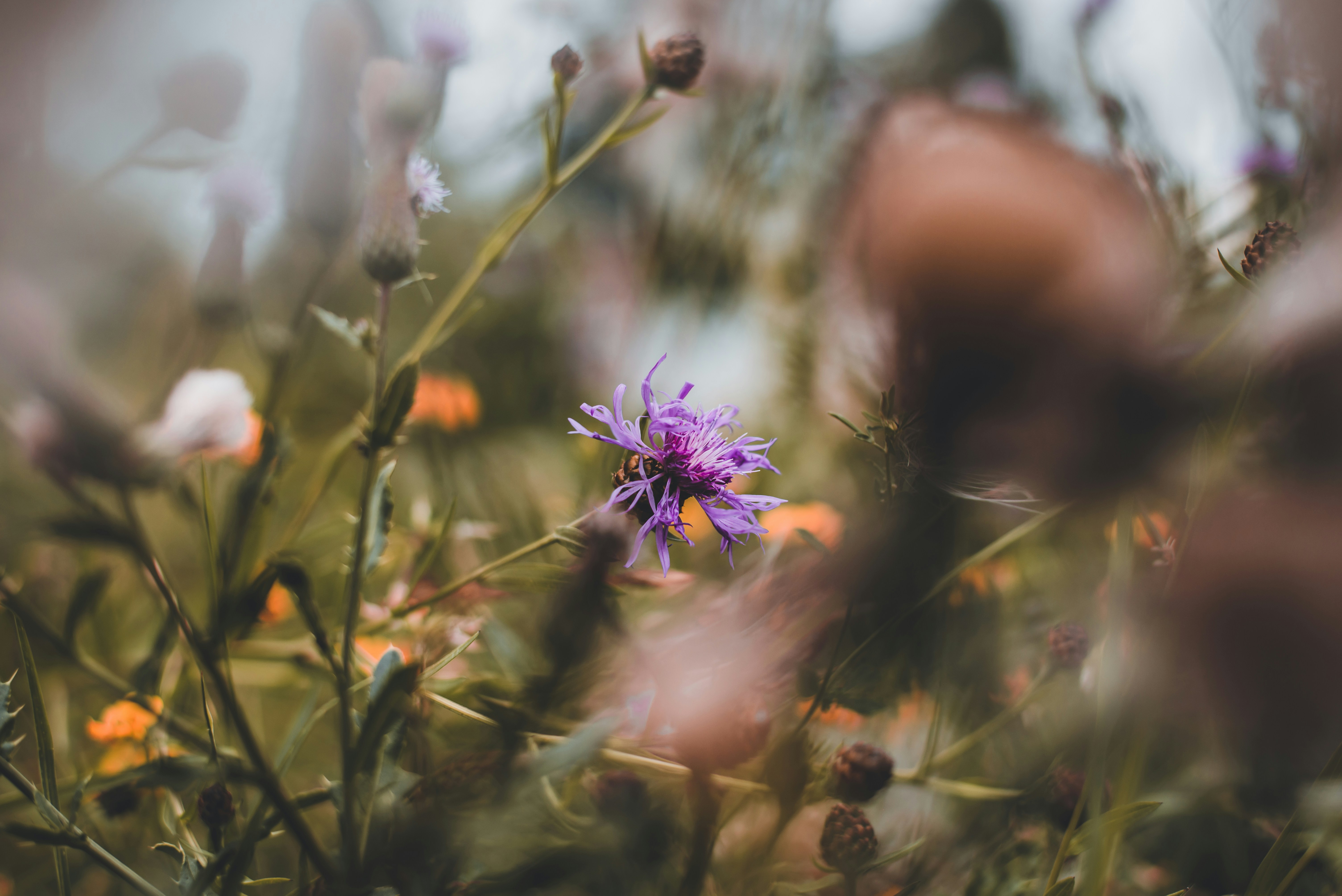 Photo by klarsichtphotography