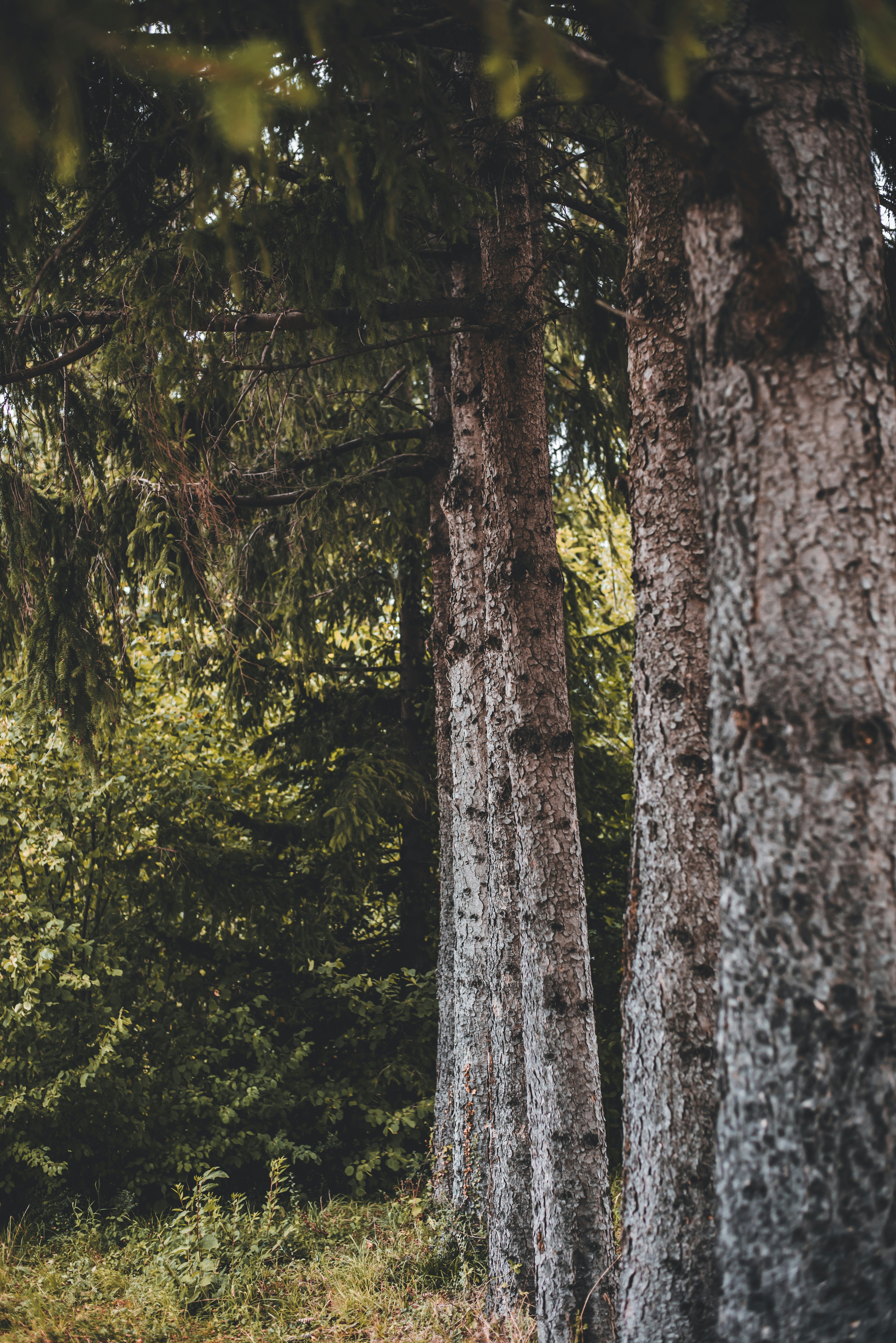 Photo by klarsichtphotography