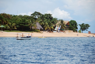 white boat on sea near palm trees during daytime