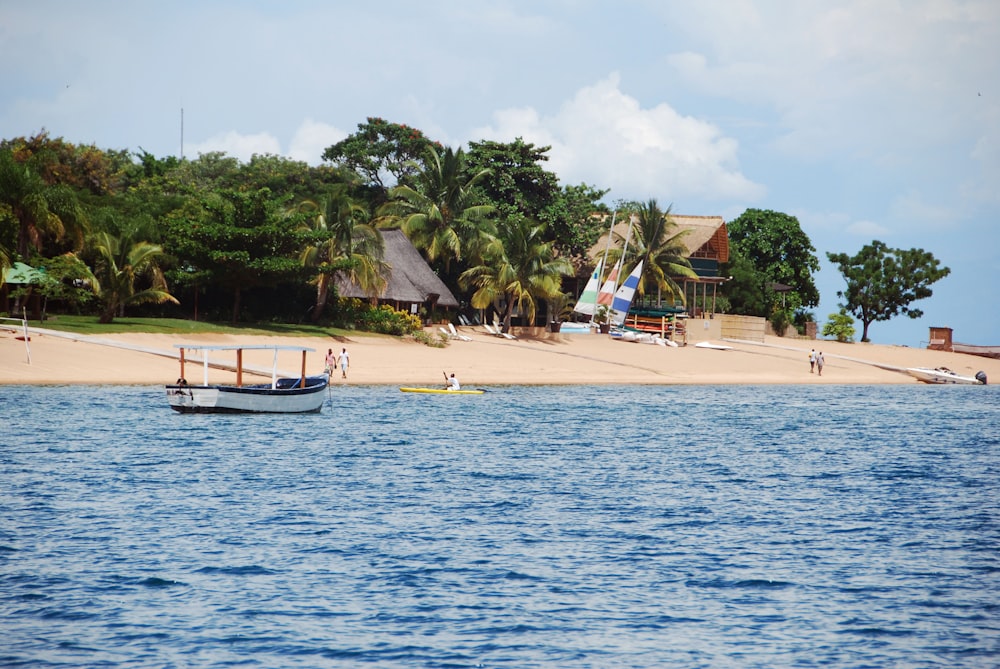 white boat on sea near palm trees during daytime