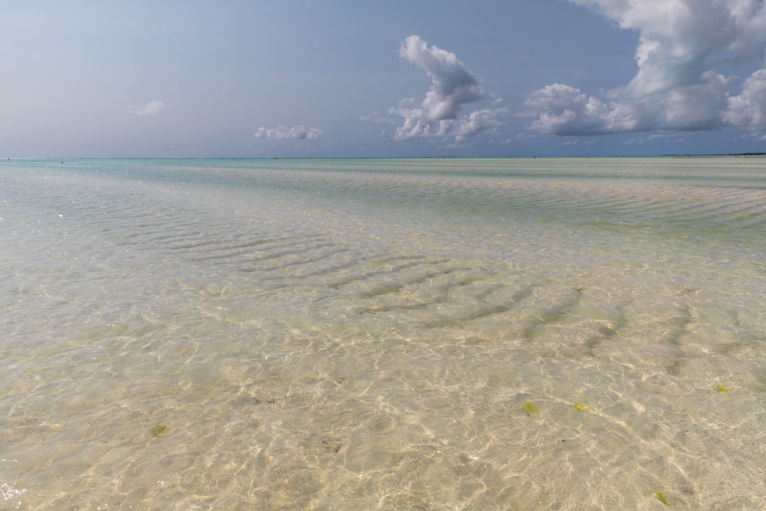 white sand beach during daytime