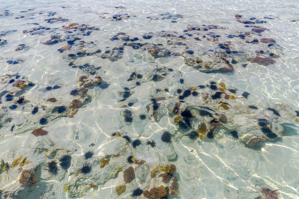 body of water during daytime