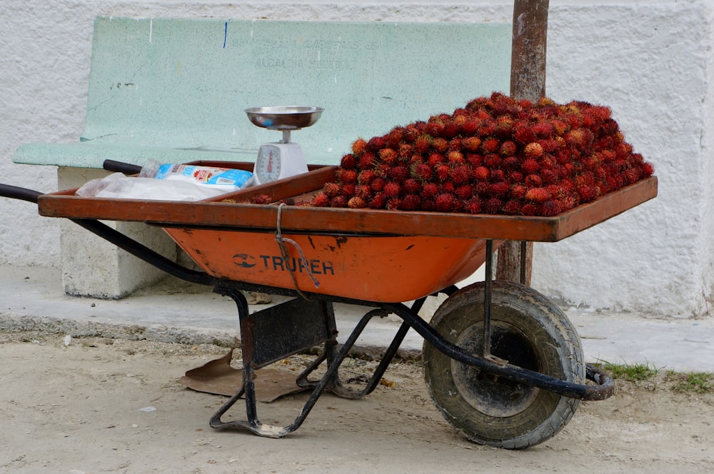 red round fruits on brown wooden cart