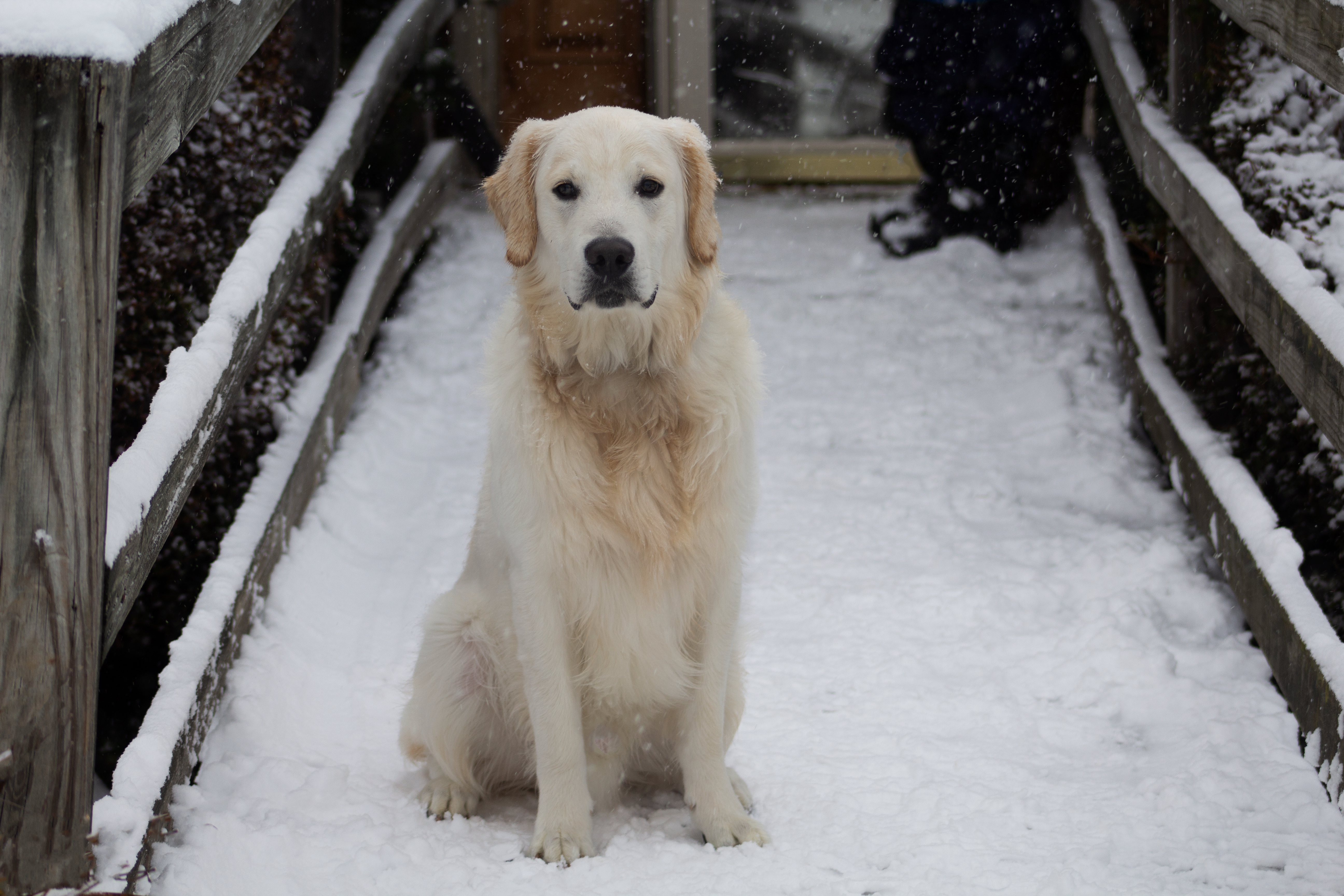 Photo by captain_ameirca