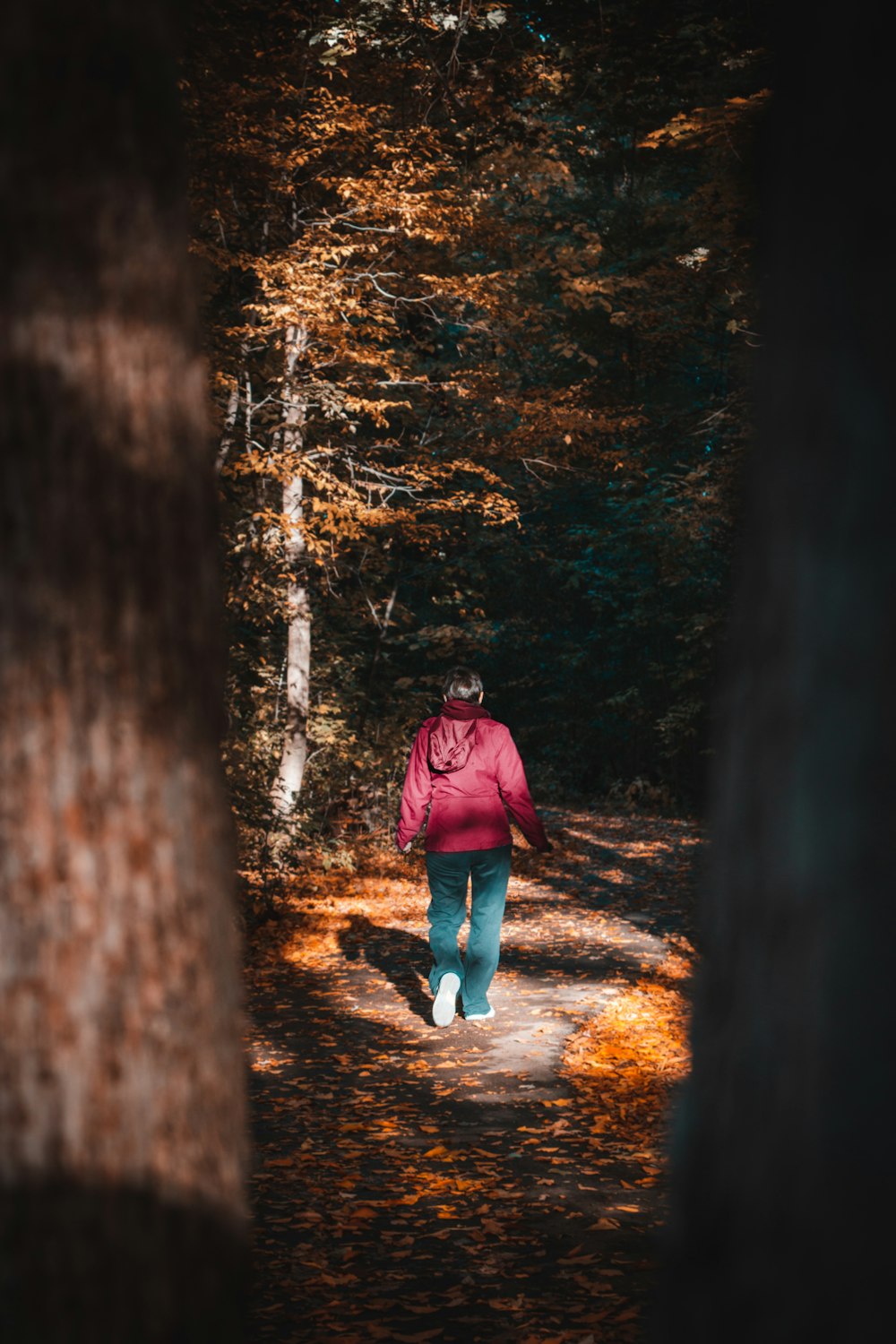 woman in red jacket and blue denim jeans walking on forest during daytime