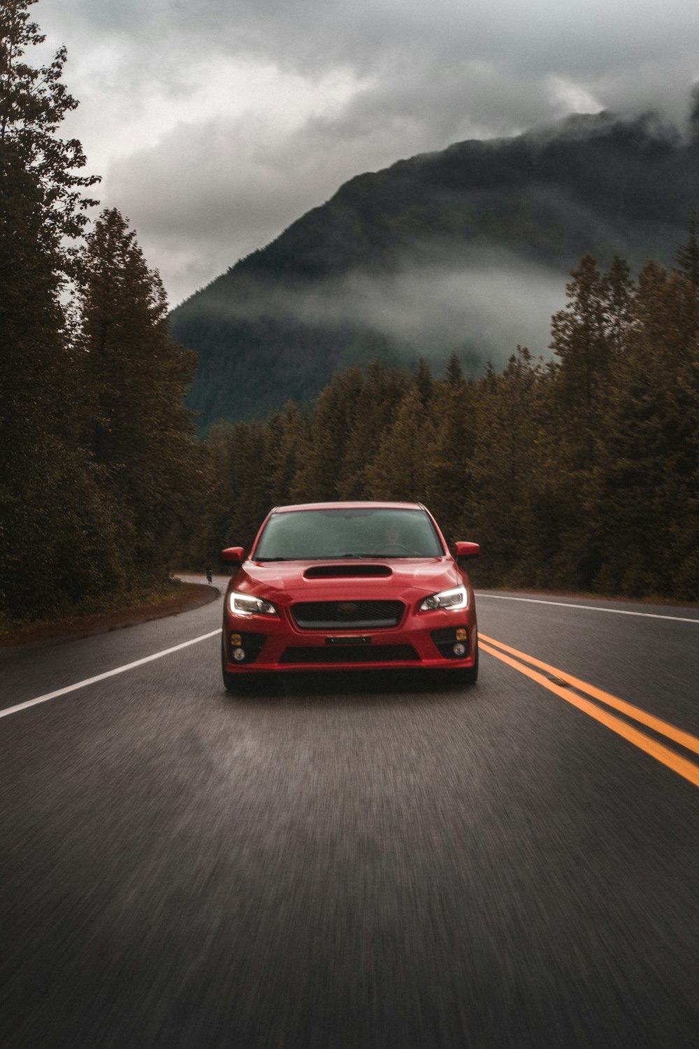 red car on road near trees