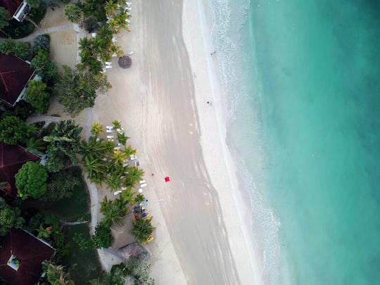 aerial view of beach during daytime in Negril Jamaica