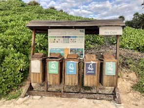 A set of five wooden recycling bins is situated outdoors on a sandy surface, surrounded by lush green foliage. Each bin is labeled for different types of waste: organic, cans, plastic, and glass. Above the bins, a wooden shelter provides protection, and there is informational signage with guidance on waste separation.