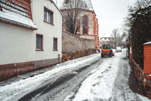 brown bare tree near brown concrete building during daytime
