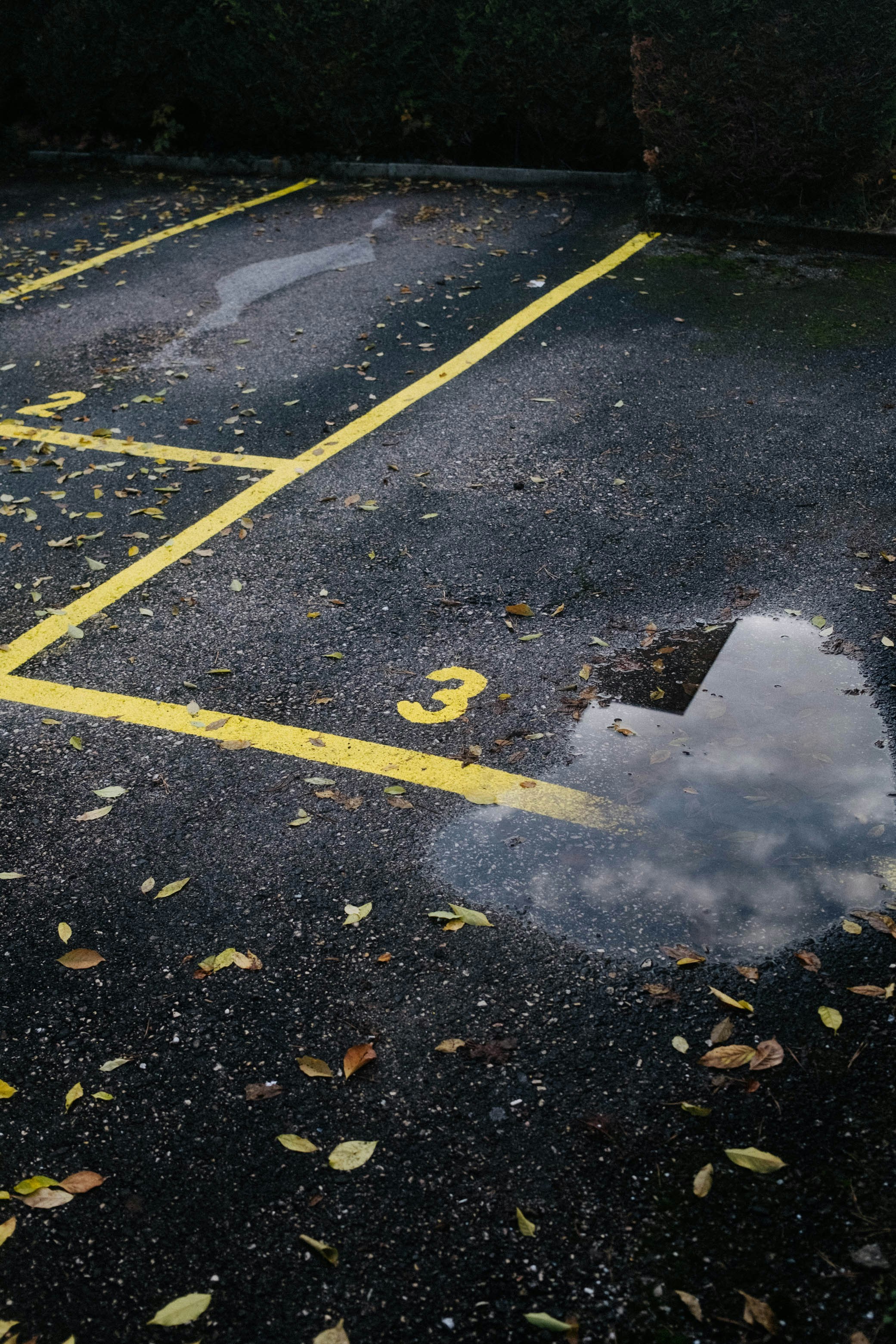 autumn leaves parking lot
