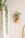 A minimalist interior setting features a white piece of furniture with a long, cascading green plant on top. On the wall, a small potted plant is placed in a triangular pink metal holder, and the edge of an oval mirror with a wooden frame is partially visible.