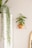 A minimalist interior setting features a white piece of furniture with a long, cascading green plant on top. On the wall, a small potted plant is placed in a triangular pink metal holder, and the edge of an oval mirror with a wooden frame is partially visible.