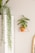 A minimalist interior setting features a white piece of furniture with a long, cascading green plant on top. On the wall, a small potted plant is placed in a triangular pink metal holder, and the edge of an oval mirror with a wooden frame is partially visible.