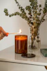 person holding lighted candle near green plant