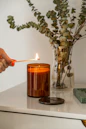 person holding lighted candle near green plant