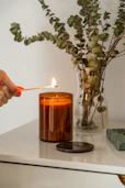 person holding lighted candle near green plant