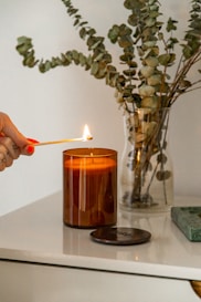 Handmade DIY candle, DIY art & crafts, home decor, person holding lighted candle near green plant